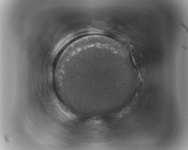 X0000102300247200808152024
