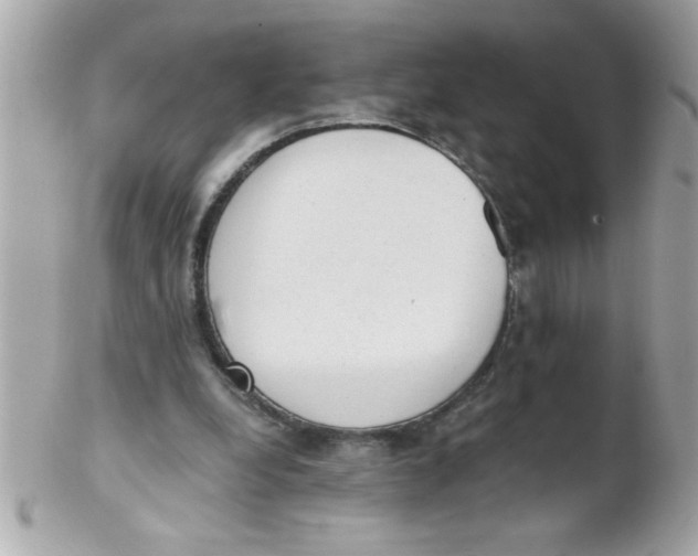 X0000102300248200808152024