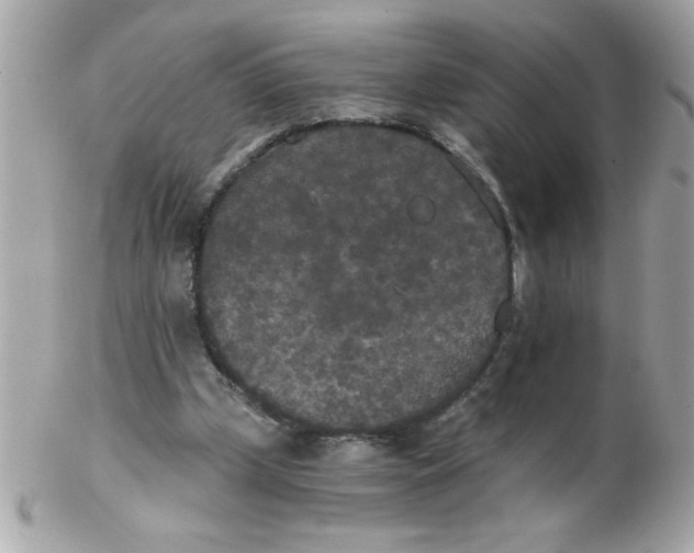 X0000102300249200808152024