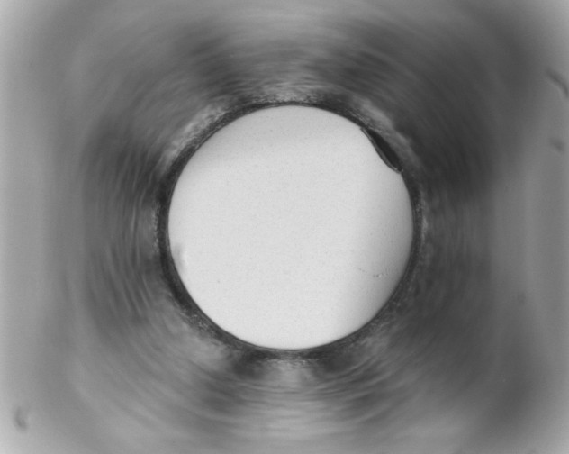 X0000102300250200808152024