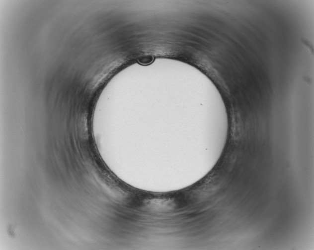 X0000102300251200808152024