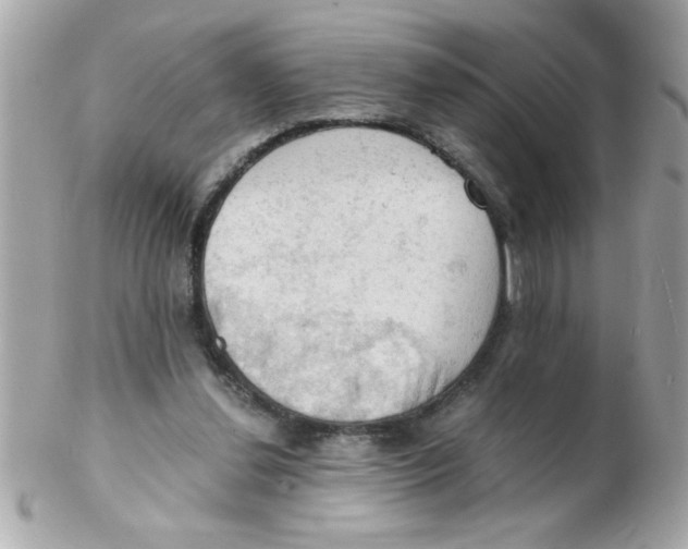 X0000102300252200808152024