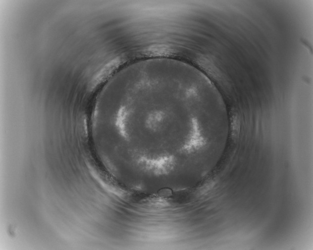 X0000102300254200808152024