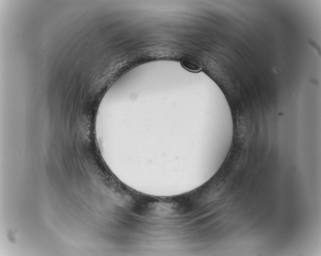 X0000102300255200808152024