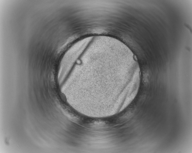 X0000102300256200808152024