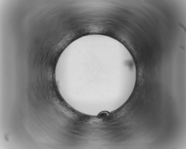 X0000102300257200808152025
