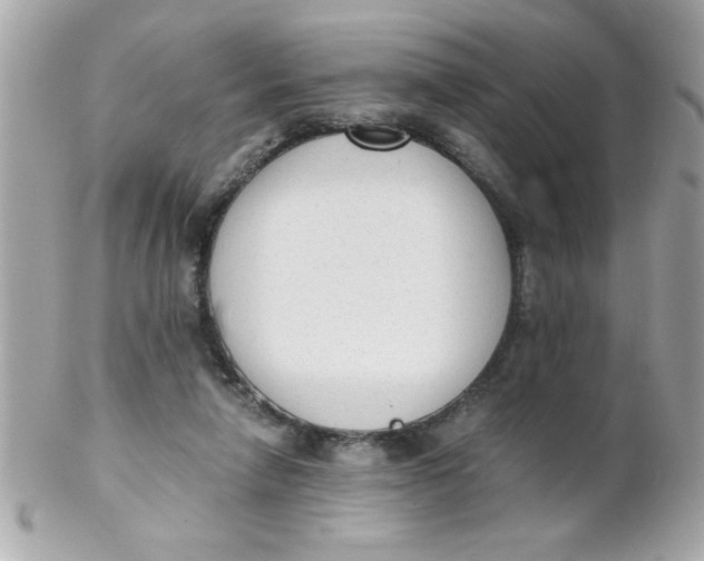 X0000102300258200808152025