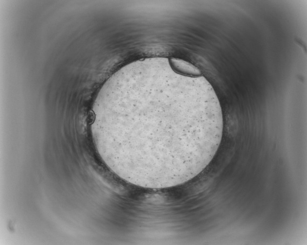 X0000102300259200808152025