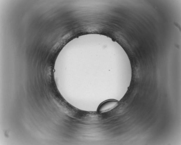 X0000102300260200808152025