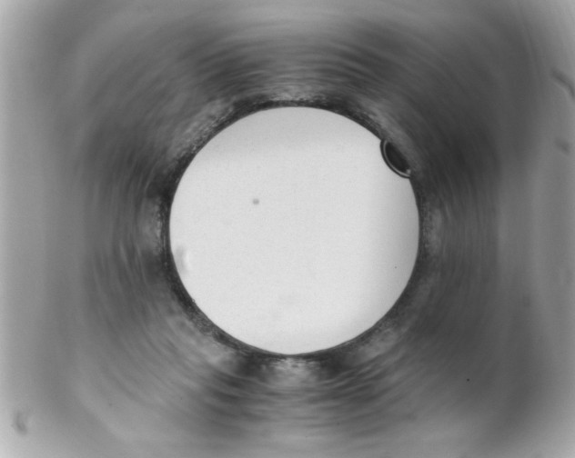 X0000102300261200808152025