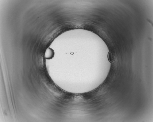 X0000102300262200808152025