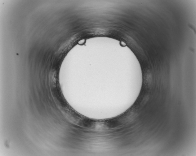 X0000102300264200808152025