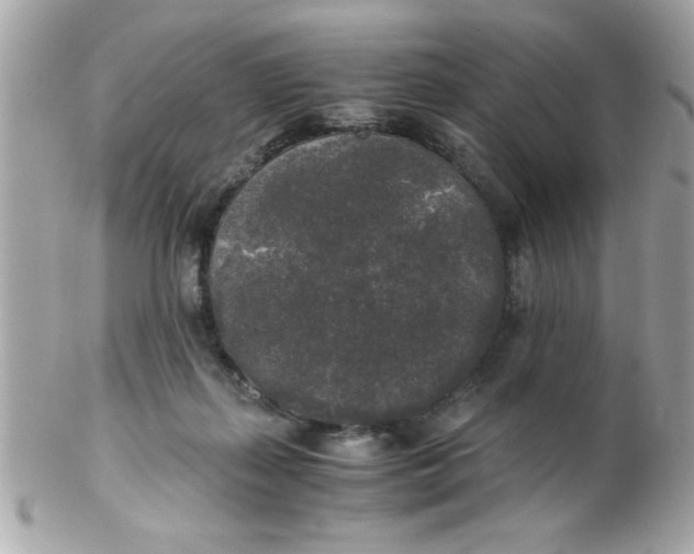 X0000102300267200808152025