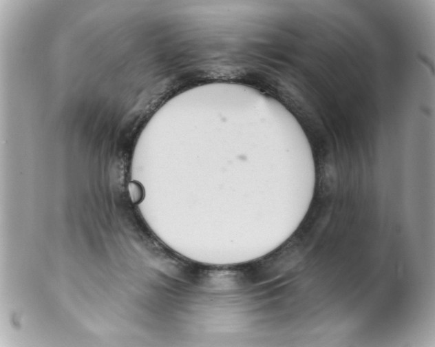 X0000102300268200808152025