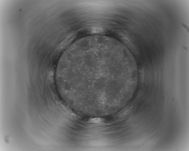 X0000102300269200808152025