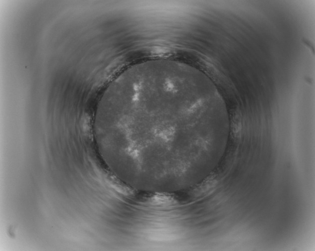 X0000102300270200808152025