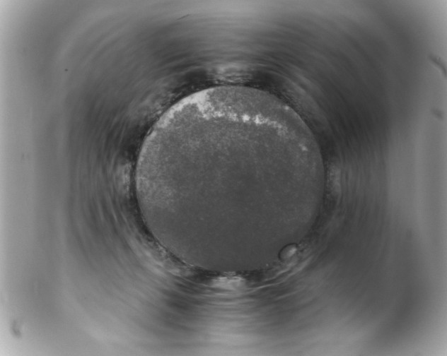 X0000102300271200808152025