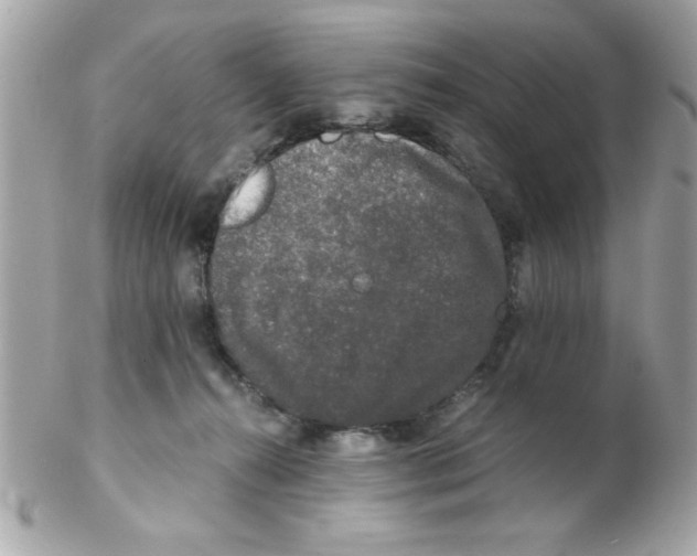 X0000102300272200808152025