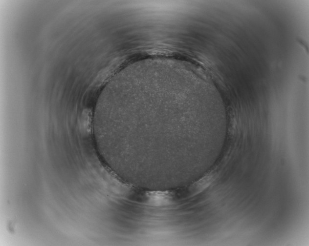 X0000102300273200808152025