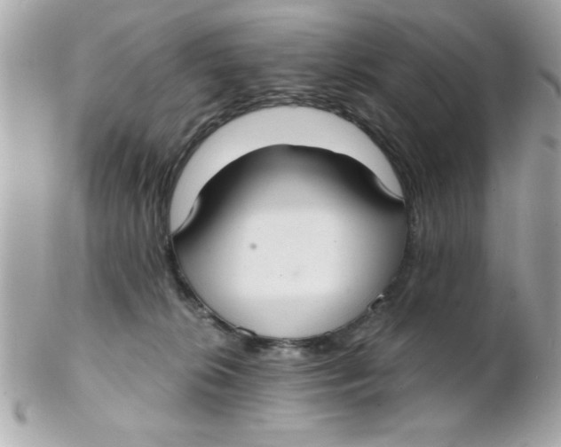 X0000102300276200808152025