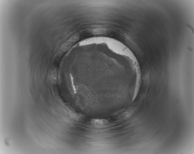 X0000102300277200808152025