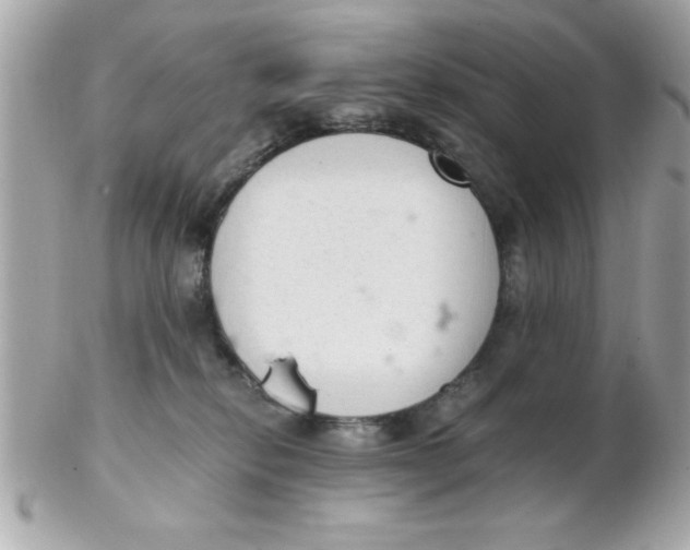 X0000102300278200808152025