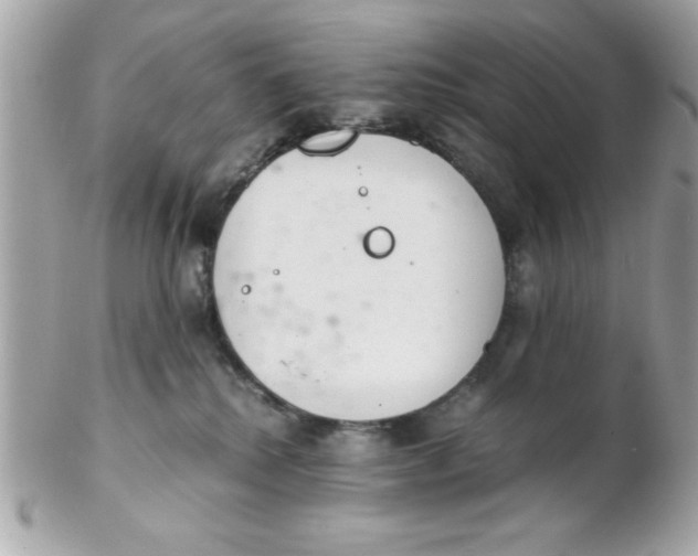 X0000102300280200808152025