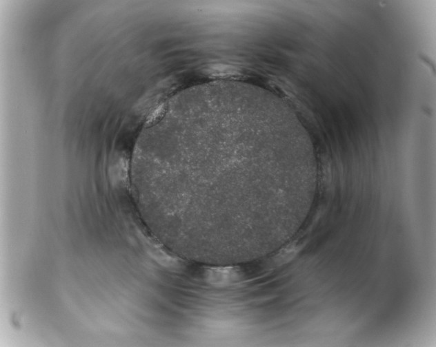 X0000102300281200808152025