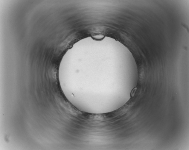 X0000102300282200808152025