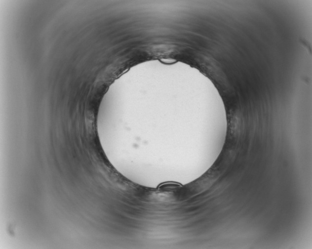 X0000102300283200808152025