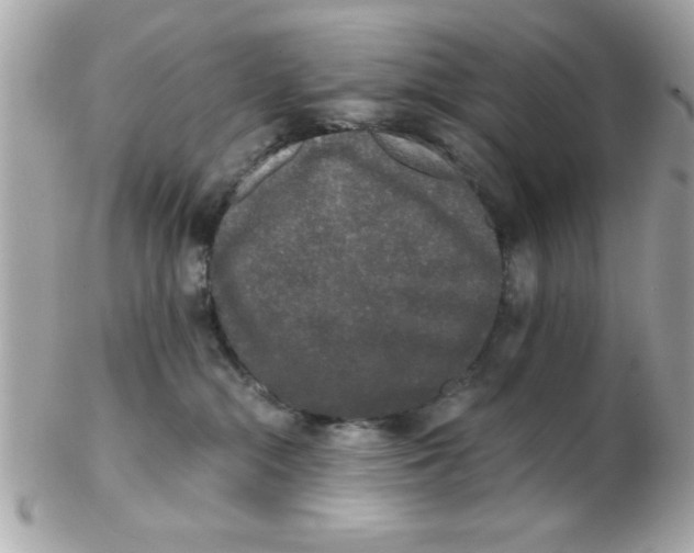 X0000102300284200808152025