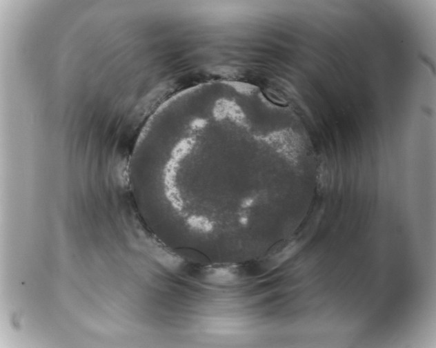 X0000102300285200808152025