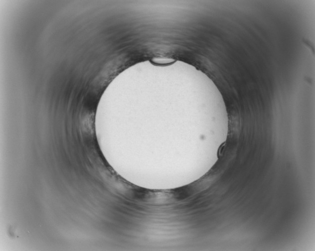X0000102300286200808152025