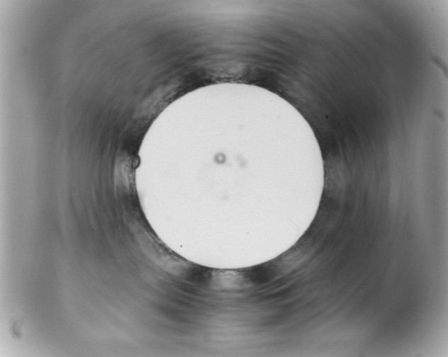 X0000102300287200808152025