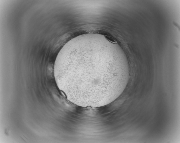 X0000102300288200808152025