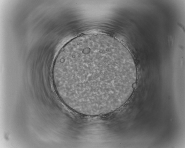 X0000102300289200808152024