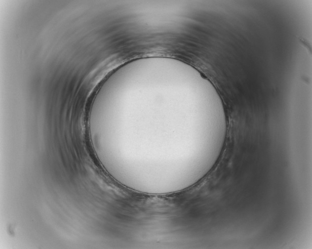 X0000102300290200808152024