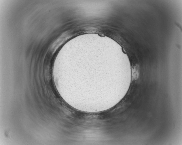 X0000102300291200808152024