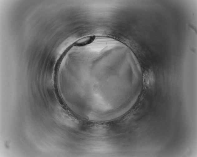 X0000102300292200808152024