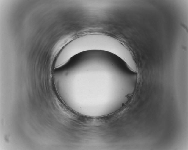 X0000102300293200808152024