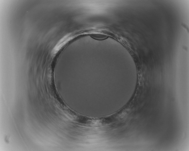X0000102300295200808152024