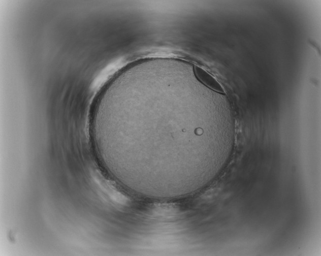 X0000102300296200808152024