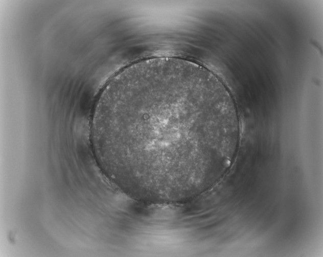 X0000102300297200808152024
