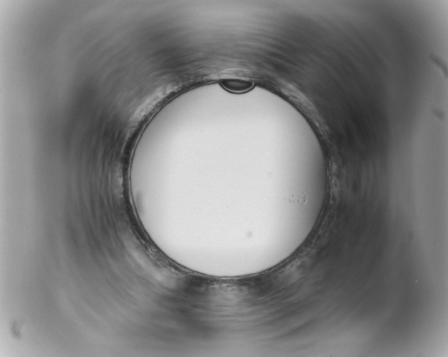 X0000102300298200808152024