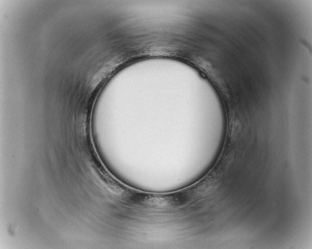 X0000102300299200808152024