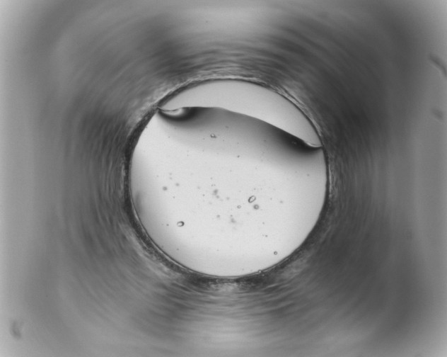 X0000102300301200808152024