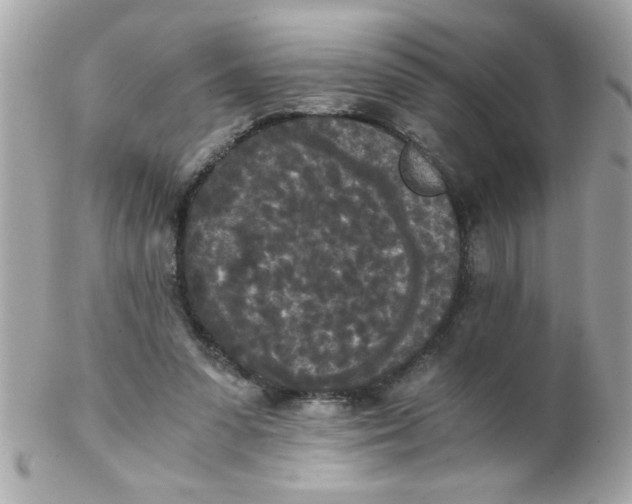 X0000102300303200808152024