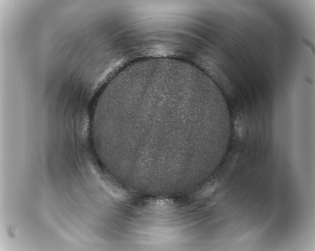 X0000102300304200808152024
