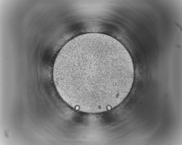 X0000102300305200808152024