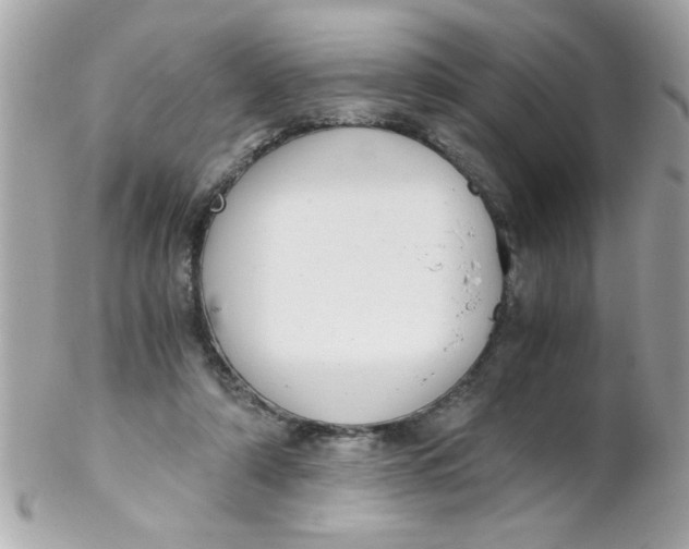 X0000102300306200808152024